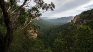 Blue Mountains national Park