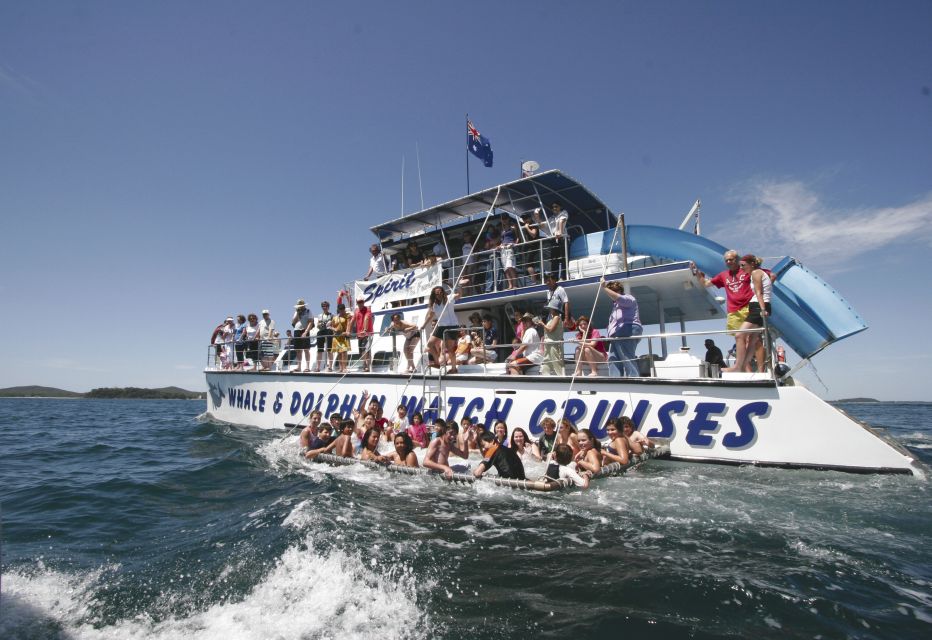Dolphin Cruise Port Stephens