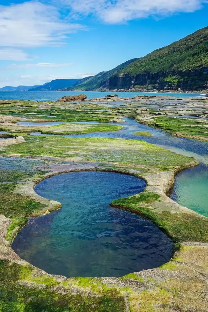 Figure Eight Pools in Royal National Park showing circular rock pools filled with clear blue water carved into the sandstone coastline. The natural tidal formations are a unique highlight of a Royal National Park family holiday.