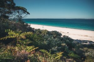 Best Things to Do in Jervis Bay and Kiama: Sun, Sea, and Adventure