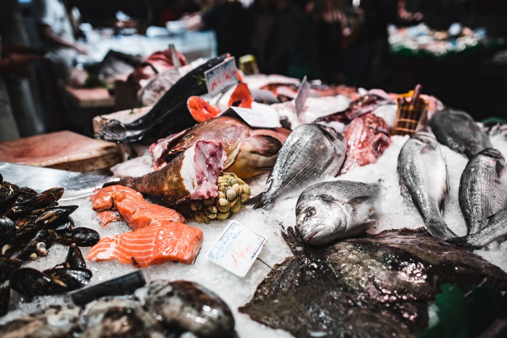 nowra fresh fish market