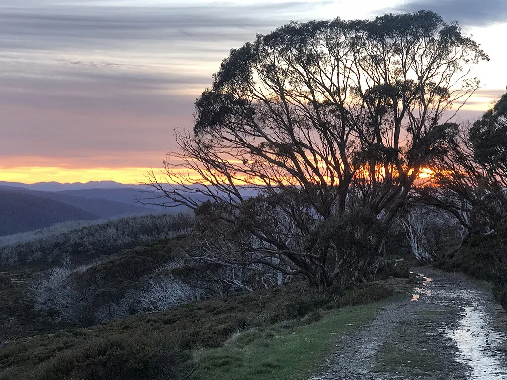 Bogong High Plains Victorian High Country