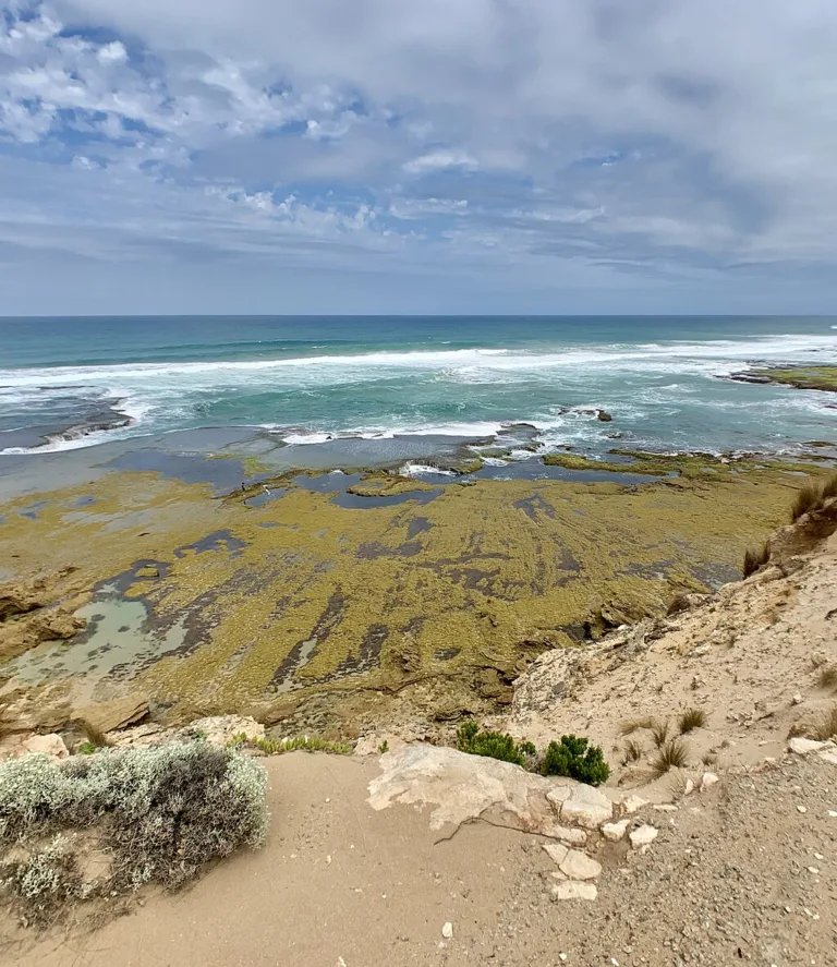 Fowlers walk Mornington peninsula