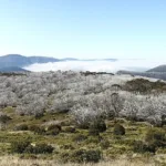 Mount Speculation in the Victorian High Country