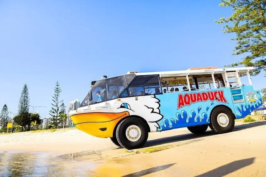 The blue and yellow Aquaduck amphibious tour bus drives down a ramp near the beach on the Gold Coast. This family friendly sightseeing tour adds a playful activity to a Gold Coast to Byron Bay family holiday.