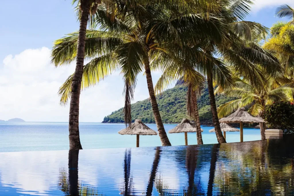 Palm trees and thatched umbrellas frame an infinity pool overlooking calm blue water and a green island. The Beach Club resort setting offers a relaxing stay during a Whitsunday Coast family holiday.