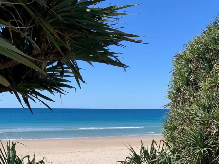 Pandanus trees frame a quiet Coolum beach with pale sand, gentle waves, and clear blue water. The peaceful coastal view suits a relaxed Sunshine Coast family holiday.