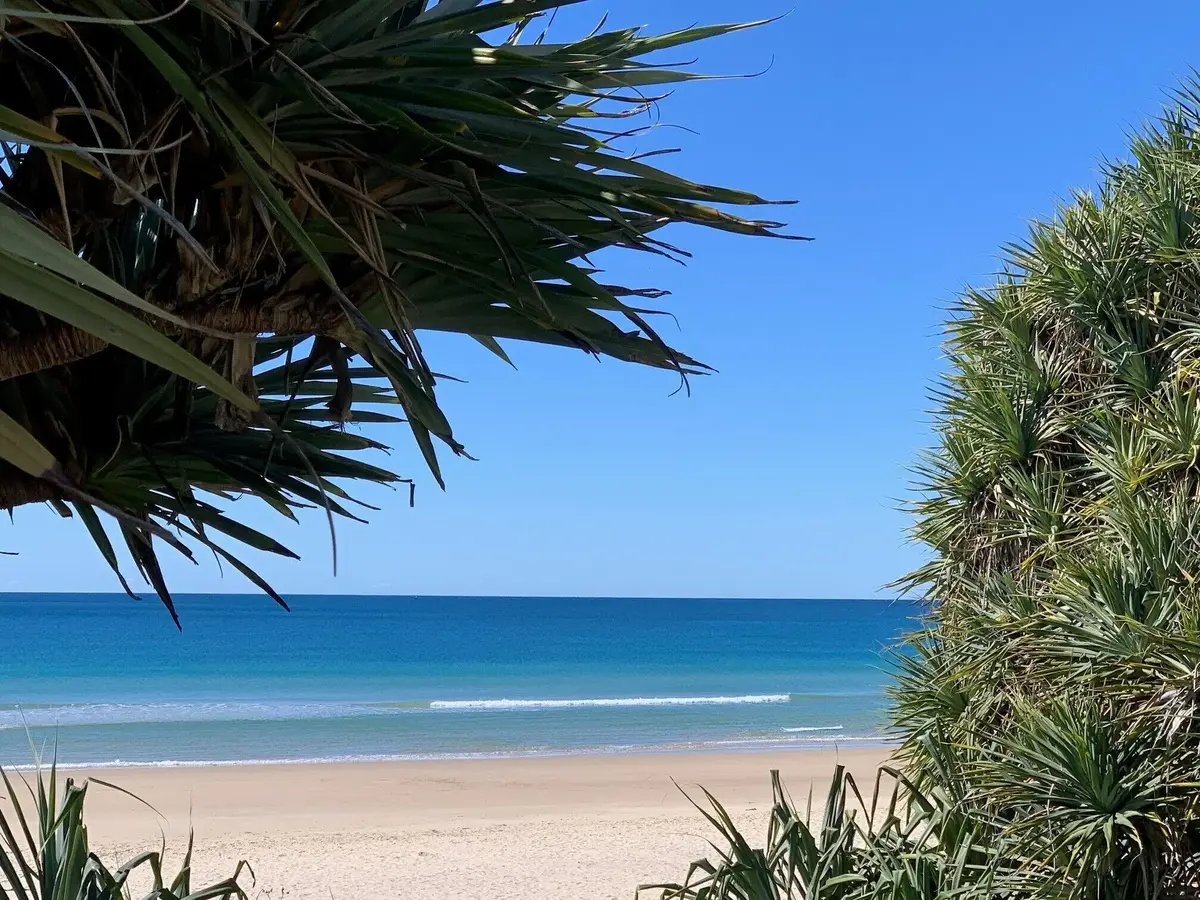 Pandanus trees frame a quiet Coolum beach with pale sand, gentle waves, and clear blue water. The peaceful coastal view suits a relaxed Sunshine Coast family holiday.