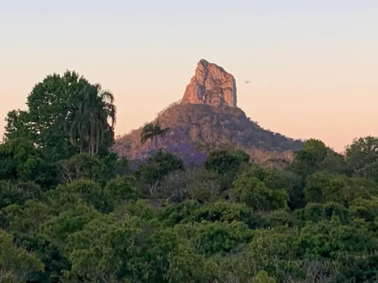 One of the Glass House Mountains rises sharply above dense green bushland in the soft light of sunset. This striking hinterland landscape adds a scenic nature stop to a Sunshine Coast Hinterland family holiday.