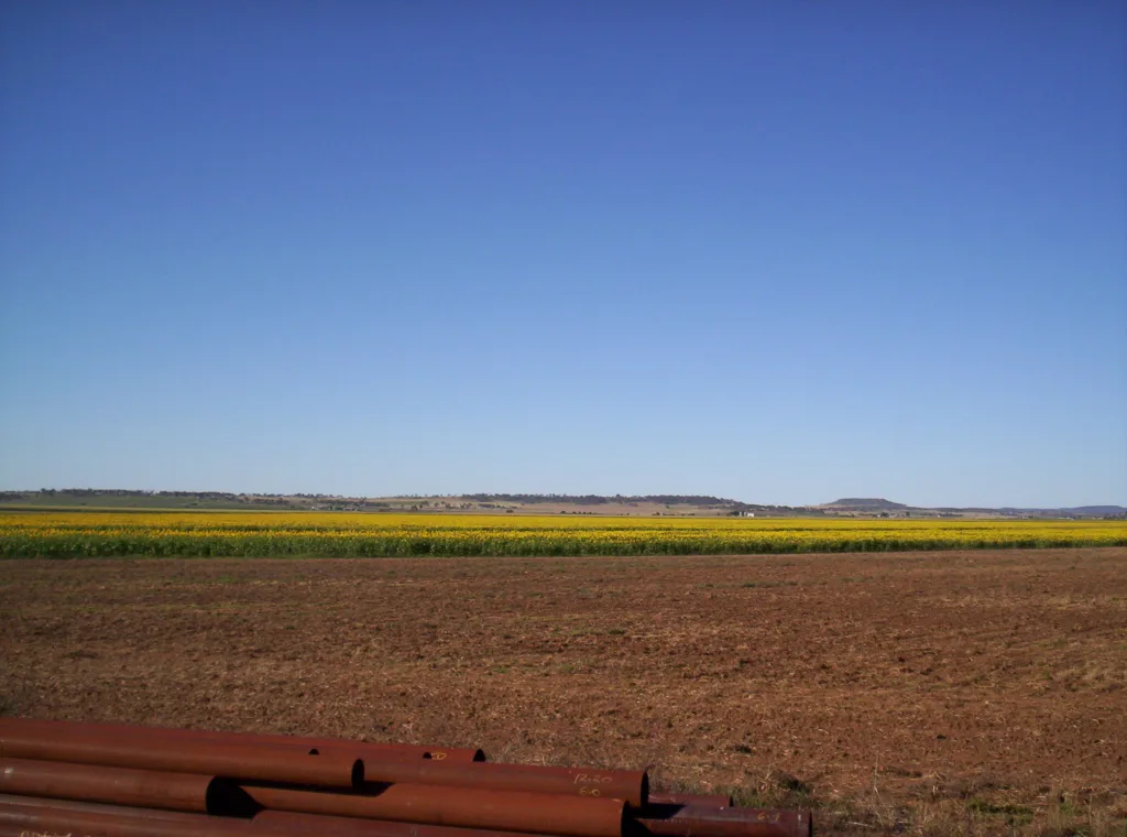 Rolling fields in Darling Downs.