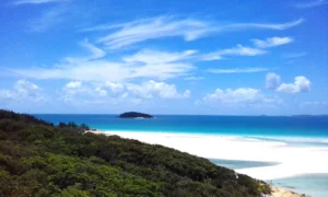 Best Places to Eat Along the Whitsunday Coast