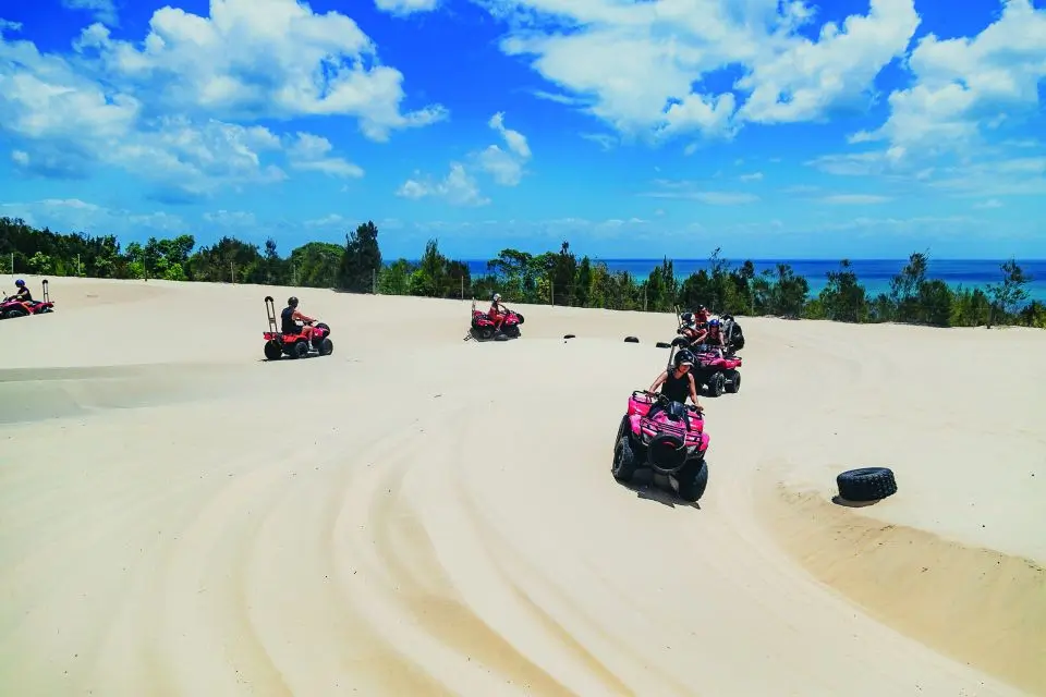 Riders on pink ATVs follow a sandy trail during an ATV tour on Moreton Island. Blue ocean and green trees line the edge of the dunes under a bright sky.