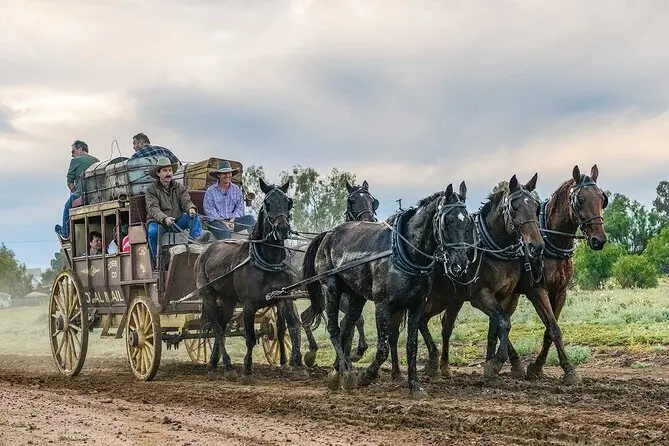 A Cobb and Co stagecoach pulled by a team of horses travels along a muddy track with passengers on board. The historic outback experience is a hands on stop for families on an outback Queensland family holiday.