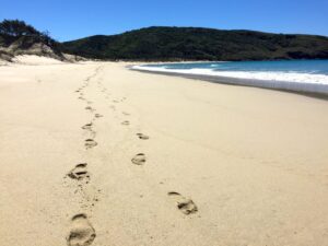 Footprints on the beach Capricorn Coast