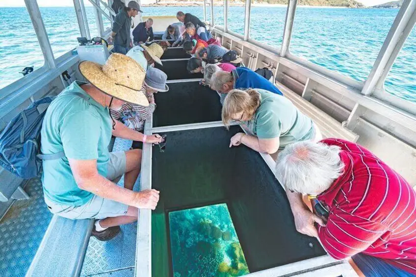 people viewing the great barrier reef on a glass bottom boat