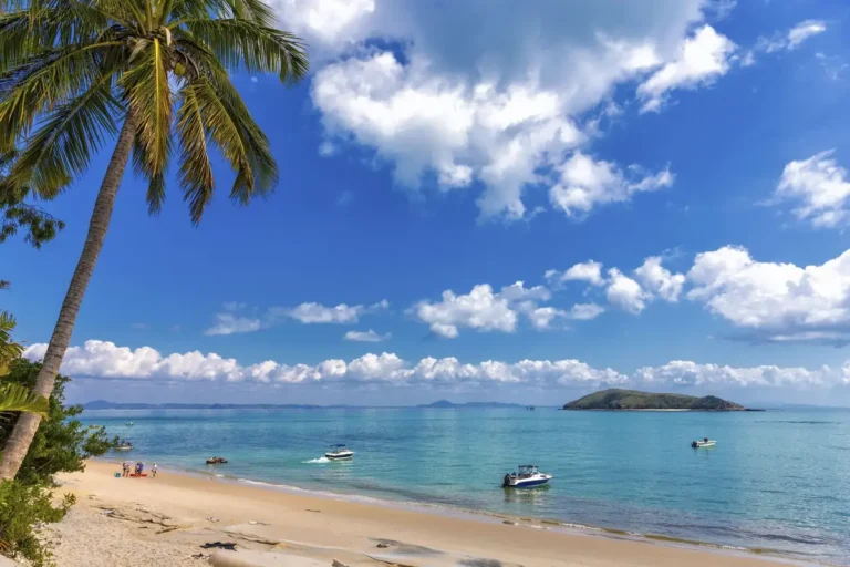 Small boats float near the sandy shore of Great Keppel Island, with turquoise water, a leaning palm tree, and a green island under a bright blue sky. The calm beach scene shows an easy island day trip during a Capricorn Coast family holiday.