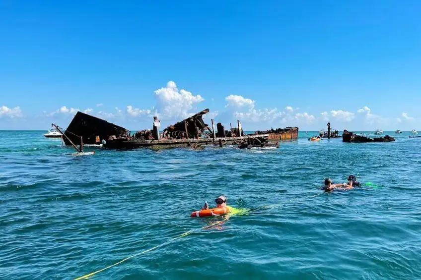 people snorkelling in the Moreton island shipwrecks