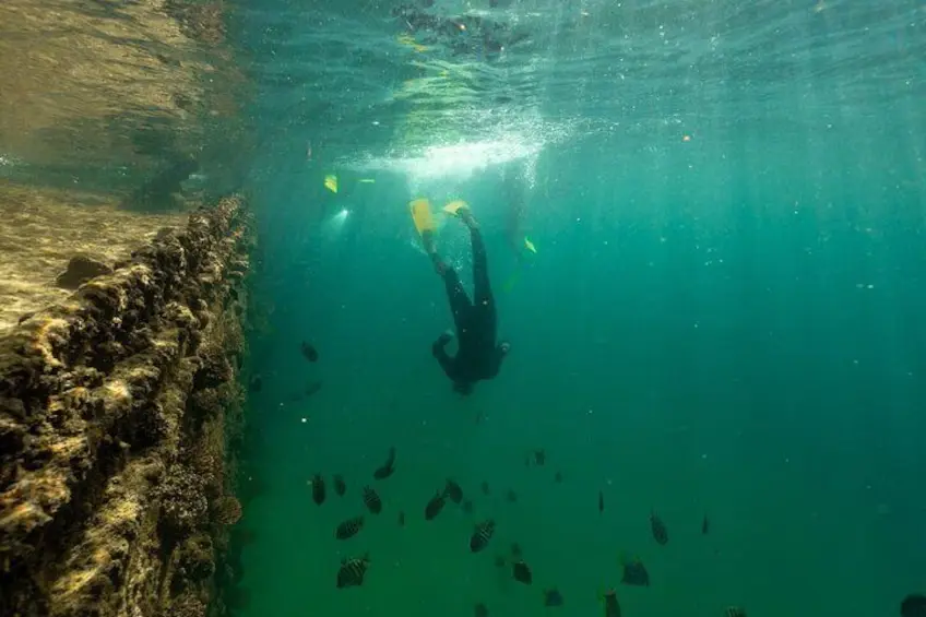 person scuba diving off the Moreton Island shipwrecks
