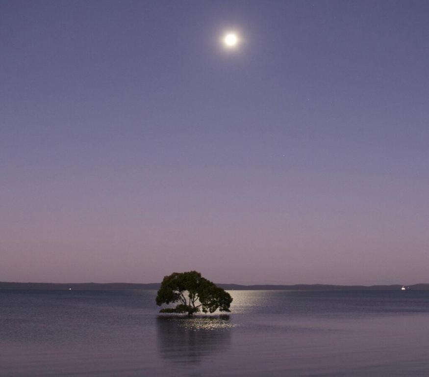 Moon over Moreton Island
