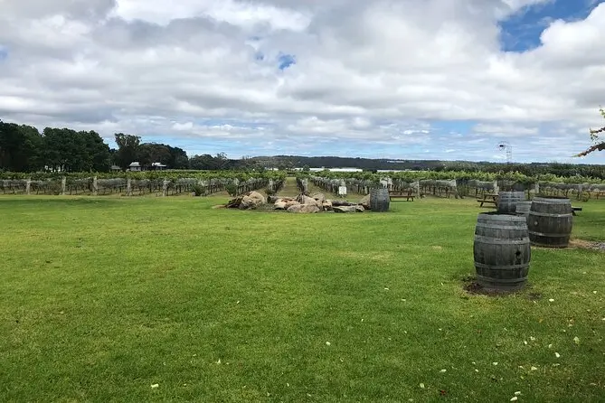 Vineyard rows stretch across a green lawn with wine barrels and a fire pit under a cloudy sky. This Stanthorpe wine tour stop shows a relaxed outdoor activity for a Southern Downs and Granite Belt family holiday.