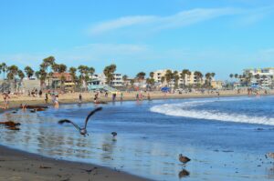 Venice Beach Los Angeles