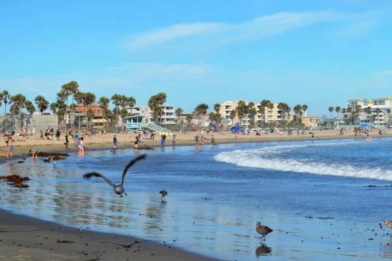 Los Angeles: The Complete Family Destination Guide