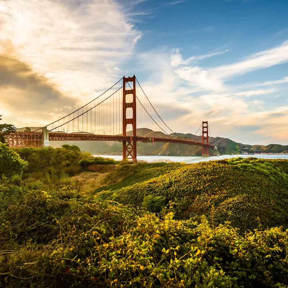 A stunning view of the Golden Gate Bridge in San Francisco, California, taken from a lush, green hillside. The iconic red suspension bridge stretches across the frame under a soft, golden sky. Wispy clouds add texture to the picturesque sunset scene.