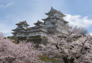 A white Japanese castle with layered tiled roofs stands on a stone base, surrounded by pale pink cherry blossom trees in full bloom. The scene captures Cherry Blossom Season in Japan with spring flowers framing the historic architecture under a clear blue sky.