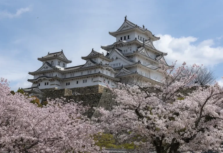 A white Japanese castle with layered tiled roofs stands on a stone base, surrounded by pale pink cherry blossom trees in full bloom. The scene captures Cherry Blossom Season in Japan with spring flowers framing the historic architecture under a clear blue sky.
