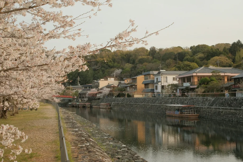 A tranquil riverside path lined with cherry blossom trees and traditional homes offers a scenic backdrop for boat rides and walks. This quiet canal view reflects the relaxed pace of family-friendly cherry blossom trips in Japan.