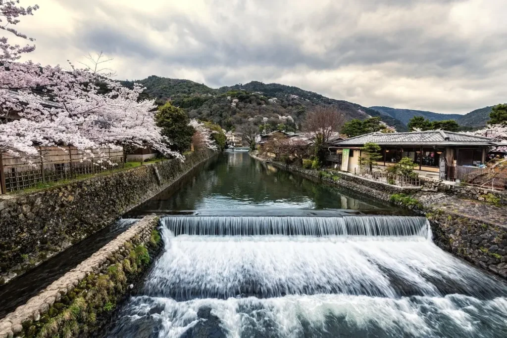 Travelling through Japan during spring