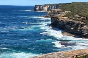 Royal National Park: The Complete Family Destination Guide