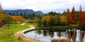Hunter Valley Gardens featuring a curved lakeside walking path white fence and vibrant autumn trees reflected in calm water with mountains in the distance. The beautifully landscaped gardens are a popular attraction during a Hunter Valley family holiday.