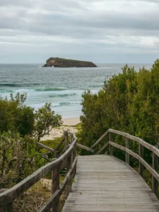 Wooden boardwalk leading down to a sandy beach with waves rolling in and Lion Island visible offshore on the Central Coast. The scenic coastal lookout is a peaceful stop during a Central Coast family holiday.