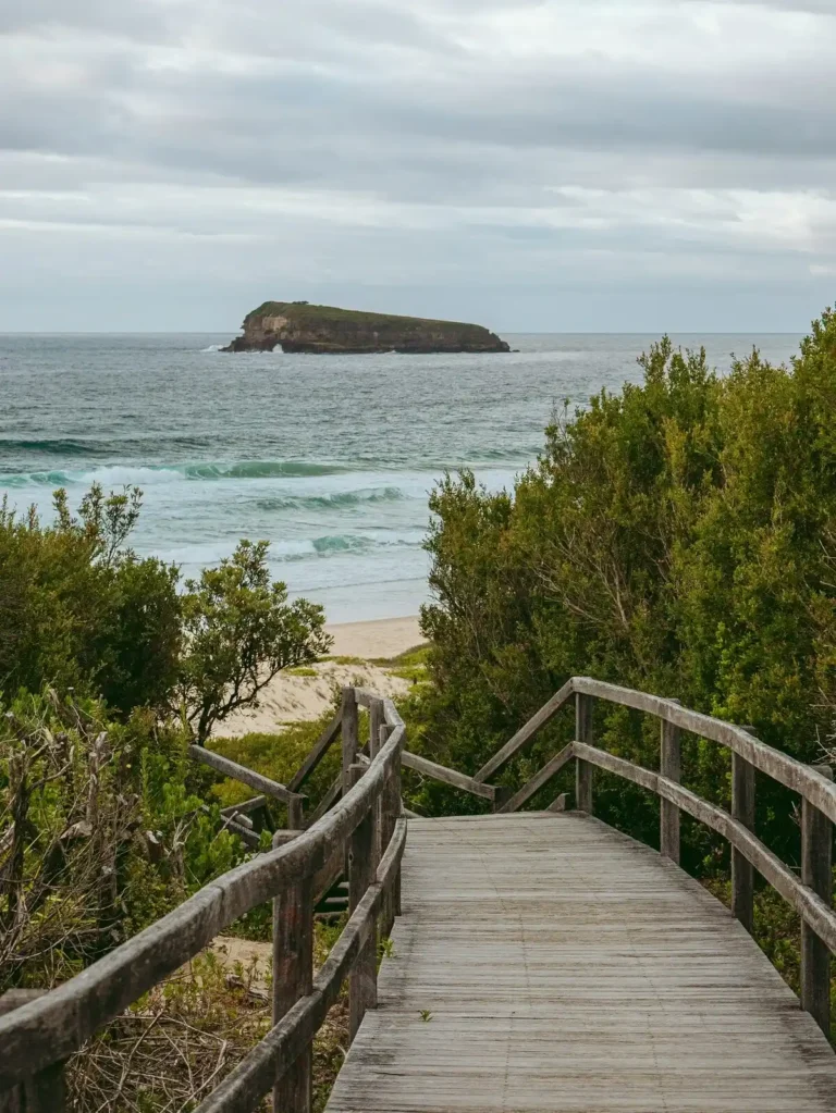 Wooden boardwalk leading down to a sandy beach with waves rolling in and Lion Island visible offshore on the Central Coast. The scenic coastal lookout is a peaceful stop during a Central Coast family holiday.
