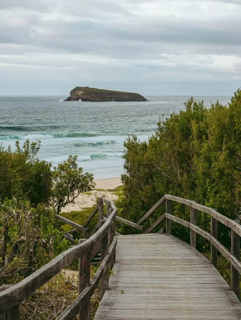Wooden boardwalk leading down to a sandy beach with waves rolling in and Lion Island visible offshore on the Central Coast. The scenic coastal lookout is a peaceful stop during a Central Coast family holiday.