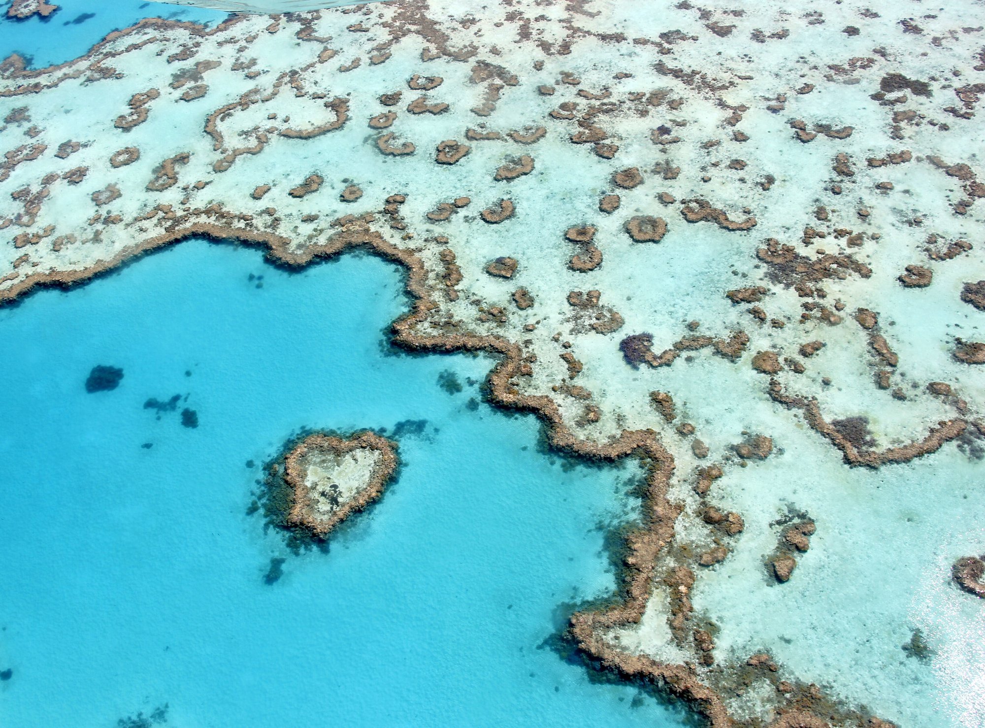 Aerial view of Heart Reef in the Great Barrier Reef, Whitsundays, Queensland
