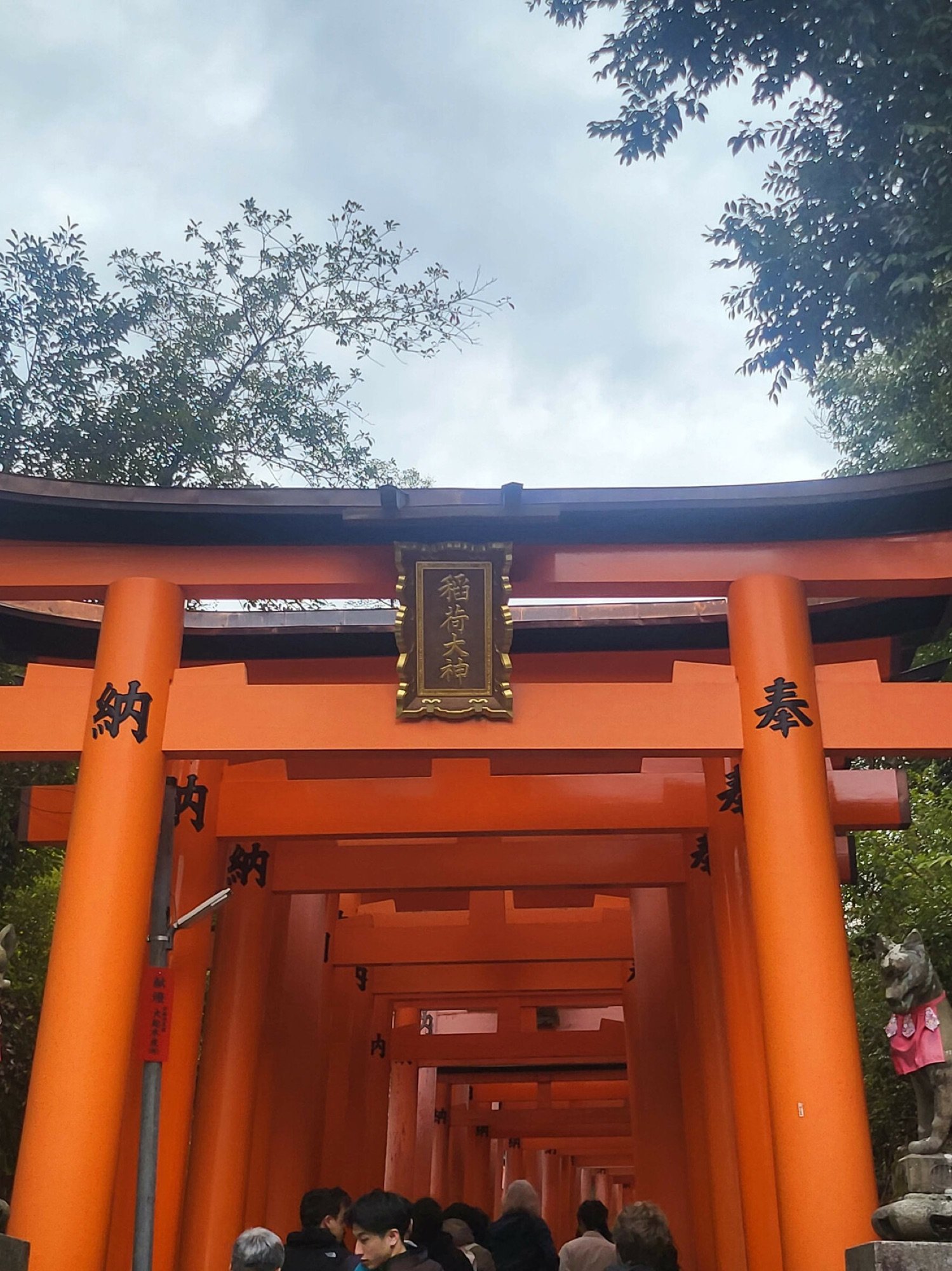 Vermilion torii gates at Fushimi Inari Shrine, Kyoto